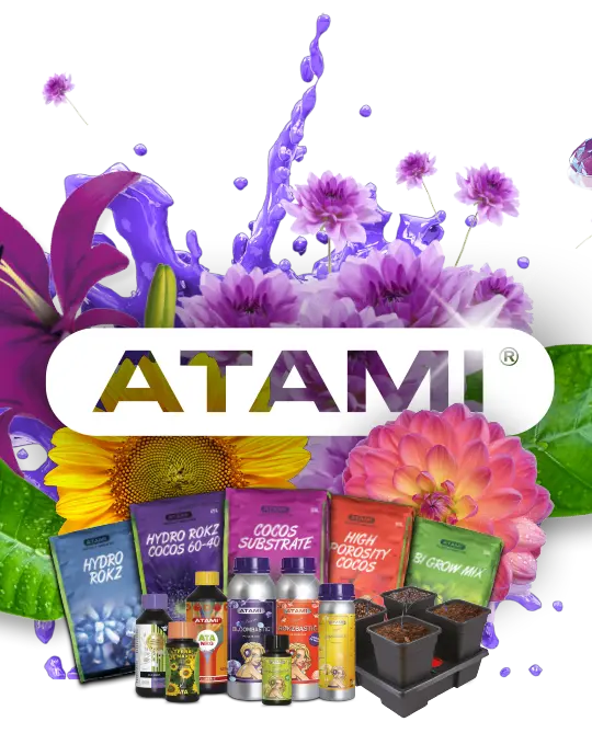 Atami