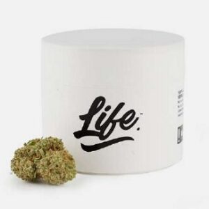 LIFE CBD CITRUS HAZE 2GR