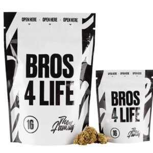 THE FAMILY BROS 4 LIFE 16 1GR