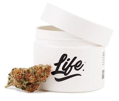 LIFE CBD STRAWBERRY CAKE 5GR