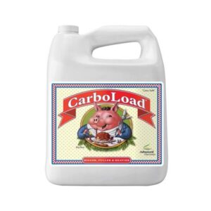 ADVANCED CARBOLOAD 5L