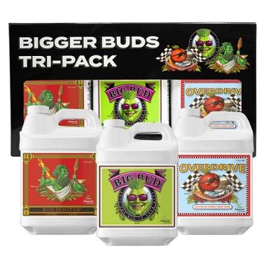 ADVANCED BIGGER BUDS TRI-PACK (250ML)