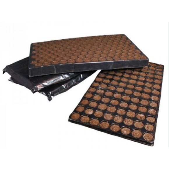 MONKEY KLONE SEEDS BANDEJA 104 ALVEOLOS