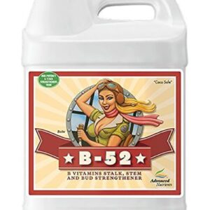 ADVANCED B52 20L