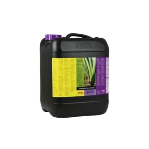ATAMI BCUZZ ONE COMPONENT NUTRITION 5L