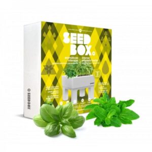 HUERTO URBANO AROMATICAS INTENSAS