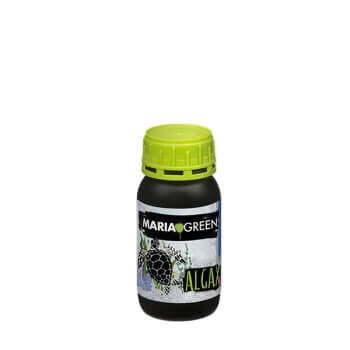 MARIA GREEN ALGAX 250ML