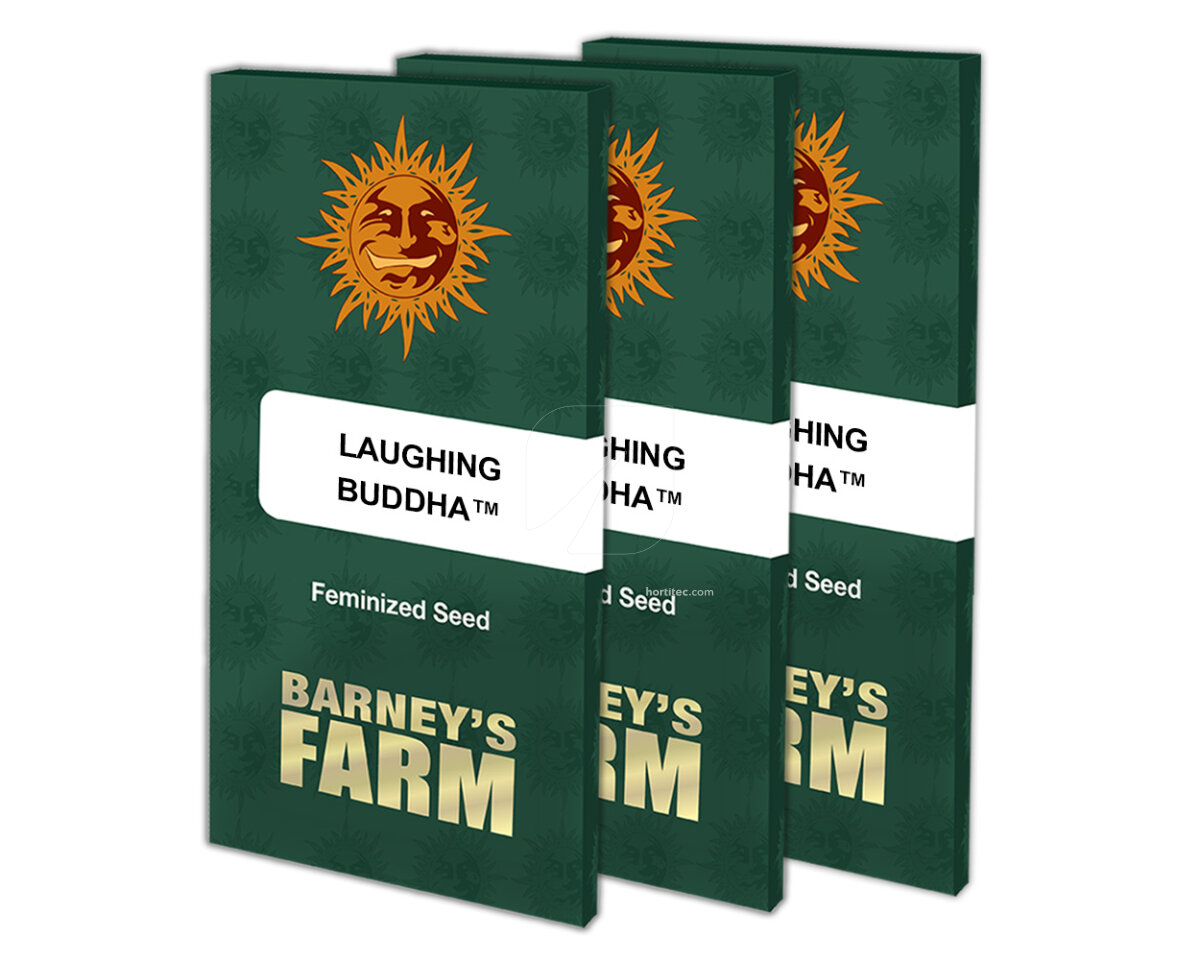 Laughing buddha (10) 100% barney's farm seeds