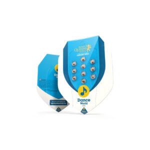 Dance World