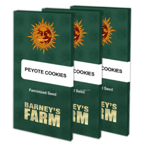 Peyote cookies (10)  100% barney's farm seeds