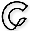 Northern Lights (5)