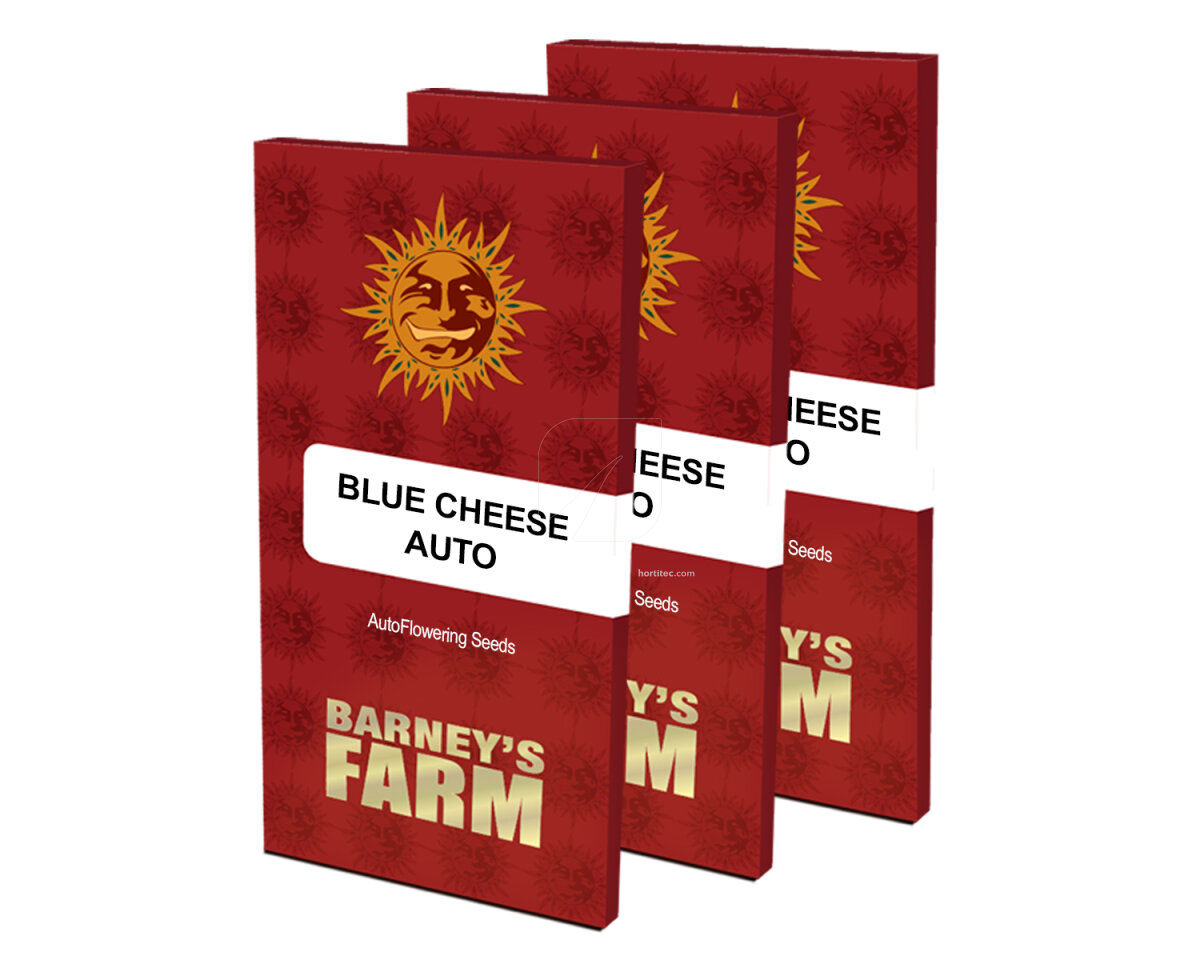 Blueberry Cheese Auto (1)