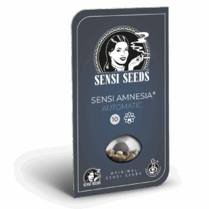 Sensi amnesia auto (5) sensi seeds