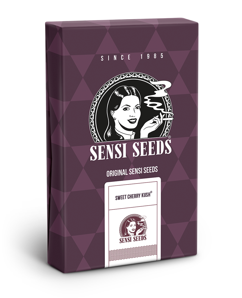 Sweet Cherry Kush (1) 100% Sensi Seeds