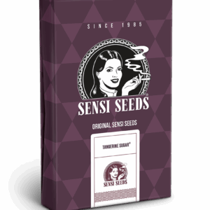 Tngerine sugar  (10) 100% Sensi Seeds