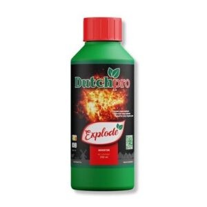 DUTCH PRO EXPLODE 250ML